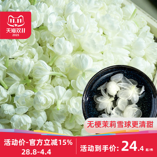 横县茉莉花茶2025新花大朵无梗茉莉雪球茉莉花干花茉莉花苞茶泡茶