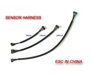 有感线 遥控车电调有感线 可选120~200mm 无刷马达传感线 霍尔线