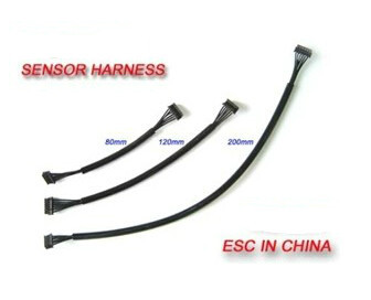 有感线 遥控车电调有感线 可选120~200mm 无刷马达传感线 霍尔线