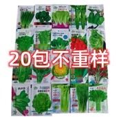 不重复四季 9.9元 抢20款 蔬菜种子菜园阳台盆栽青菜种子