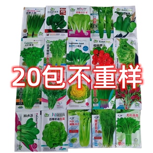 蔬菜种子菜园阳台盆栽青菜种子 不重复四季 9.9元 抢20款
