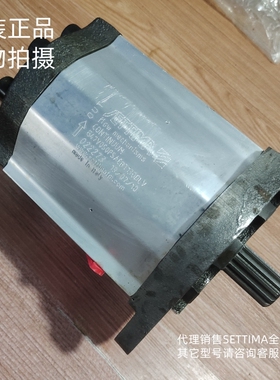 意大利G47V032FSAEBT13ODLV SETTIMA花建螺杆齿轮泵 GR47-2V-32CC