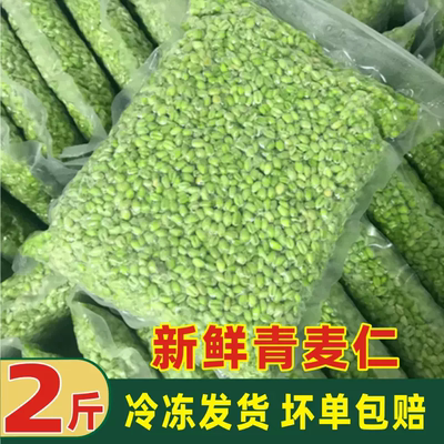 青麦仁新鲜速冻青麦粒米去皮即食煮粥鲜小麦仁胚芽五谷杂粮蔬菜粒