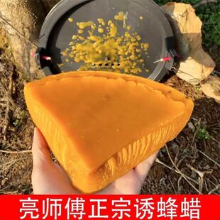 引蜂蜂蜡养蜂诱蜂中蜂诱蜂腊引蜂招蜜蜂野外纯正巢脾蜂巢诱蜂桶