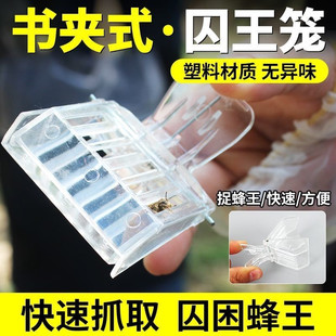 书夹式王笼塑料王笼夹子蜜蜂囚王笼关王抓蜂王专用养蜂工具防逃器