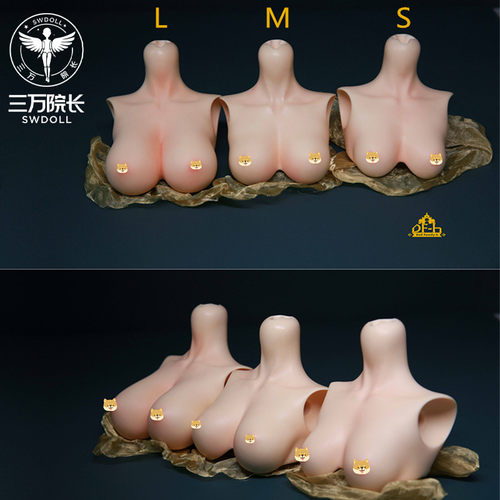 DF-H三分女新大女胸部替换件