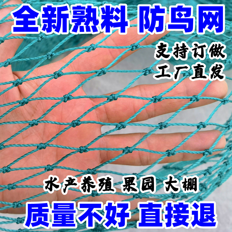 养殖网养鸡网围鸡网护栏网尼龙网果园防鸟天网围栏网山鸡网爬藤网