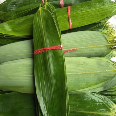 新鲜现摘粽子安徽泾县特产南方