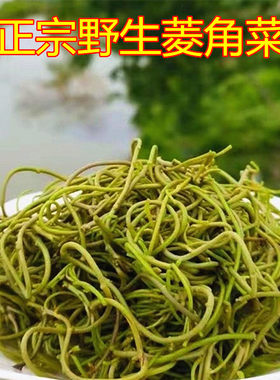 安徽宣城特产新鲜水生野菱角菜
