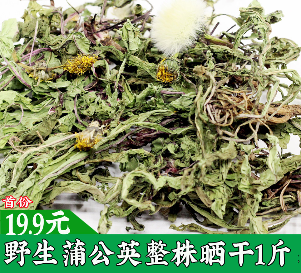野生蒲公英带根整颗婆婆丁新鲜叶子棵黄全草花丁干天然地整株1斤