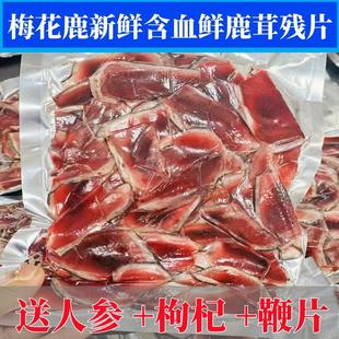 梅花鹿鹿茸片残片正品250g新鲜鹿茸残片中药材血片鹿角片泡酒煲汤