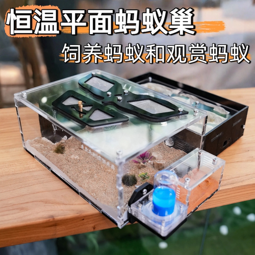 地火堡垒恒温平面蚂蚁巢