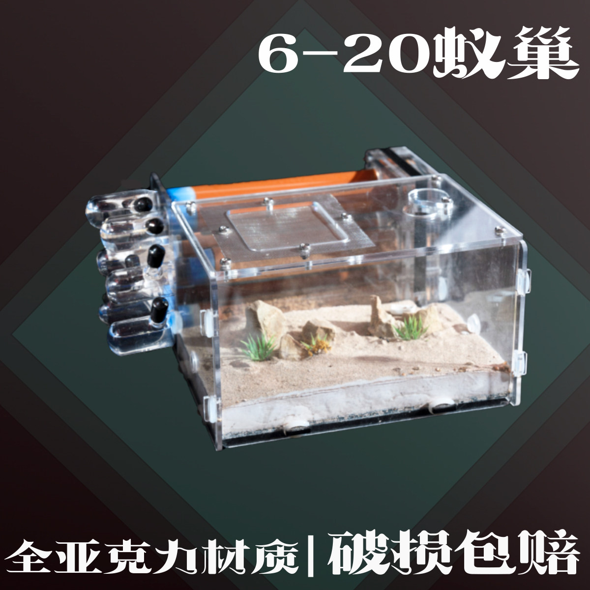 6-20蚂蚁试管巢高档亚克力图片