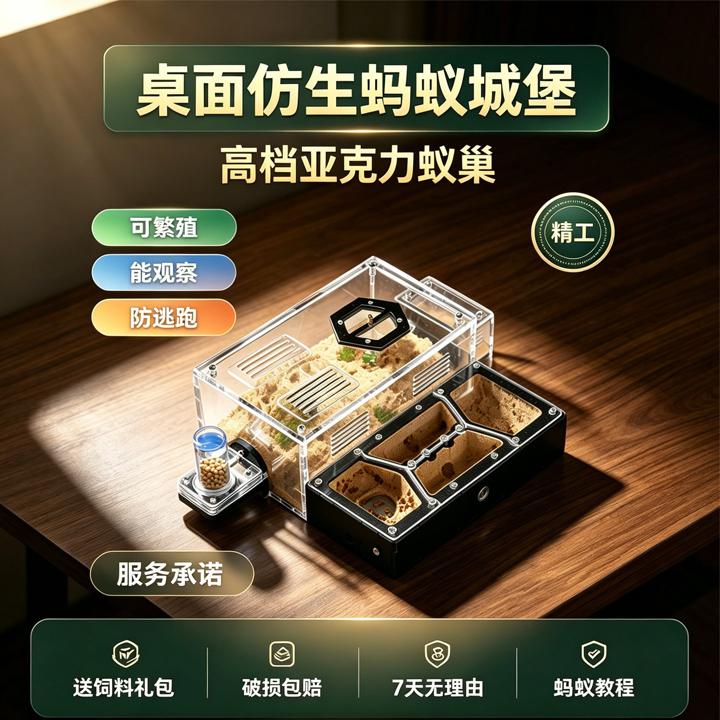 平面蚂蚁生态箱蚂蚁观察生态箱昆虫家园观察蚂蚁宠物新手拓展蚁巢 - 实物图