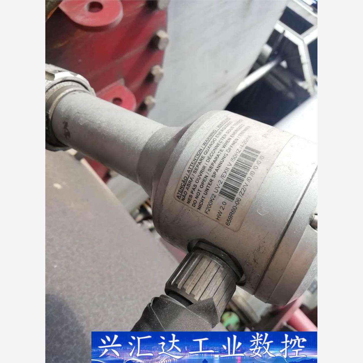 火焰检测器lamtec  询价下单