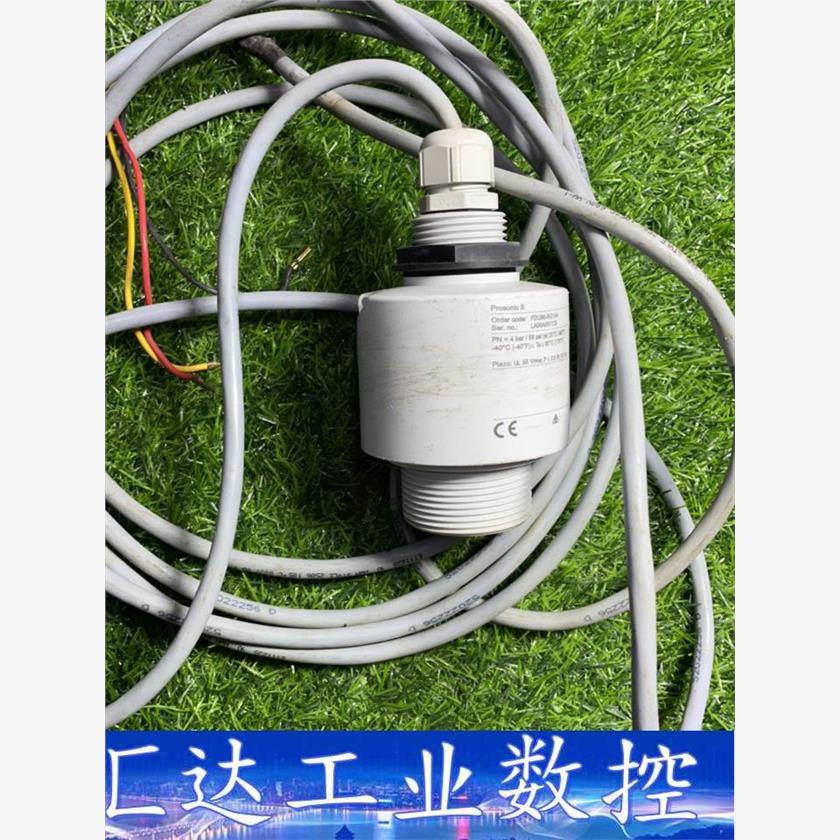 Enderess+Hauser FDU90-RG1AA 议价  询价下单