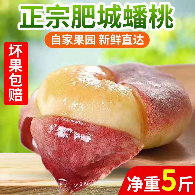 现摘当季山东肥城扁桃纽扣蟠桃水蜜桃软糯香甜孕妇新鲜水果包邮