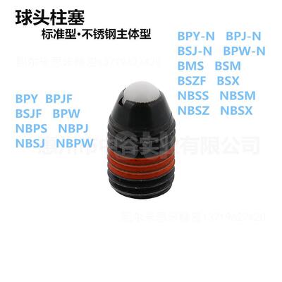 球头柱塞标准型BPY/BPJF/BSJF/BPW-[3-4-5-6-8-10-12-16]代米思咪