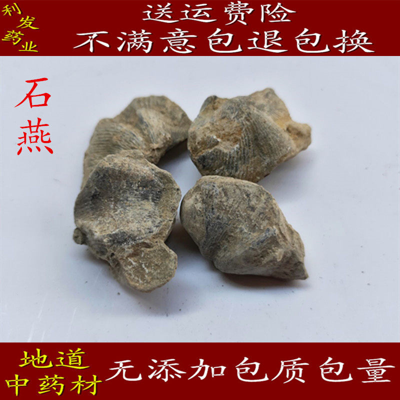 石燕 中药材 石燕 燕石子 燕子石 优质水飞燕子500克15元包邮