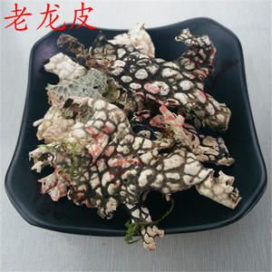 中药材 老龙皮  老龙七 石龙皮 石龙衣 蛇皮苔 500克35元 正品