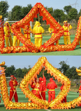 舞龙道具舞龙国标龙节庆用品牛津布烫金龙钢丝龙饱满龙特价舞狮子