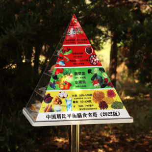 新款 中国居民膳食宝塔模型仿真食物交换份道具膳食金字塔 2022年版