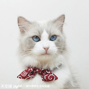 和风猫咪领结新年手工小猫饰品可爱幼猫蝴蝶结用品无声宠物项圈