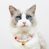 手工猫咪项圈小猫有声铃铛项链可爱幼猫装 饰用品猫牌新年宠物饰品