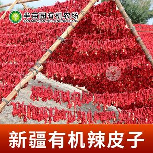 新疆半亩园有机辣皮子焉耆辣椒螺丝椒辣皮子干辣椒新疆辣椒皮炒