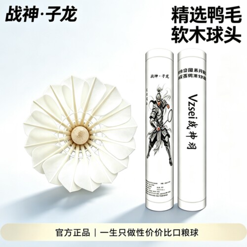 【战神子龙】战神羽子龙羽毛球