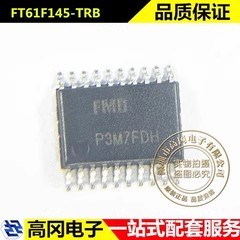 FT61F145-TRB TSSOP-20 FMD辉芒微 512Byte GPIO MCU单片机