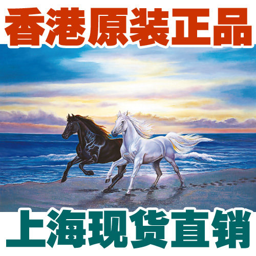 香港成人减压智力拼图