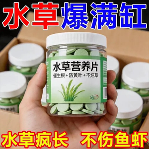 水草营养片生根防黄叶不烂草高效懒人养护片不伤鱼虾水草水草生长