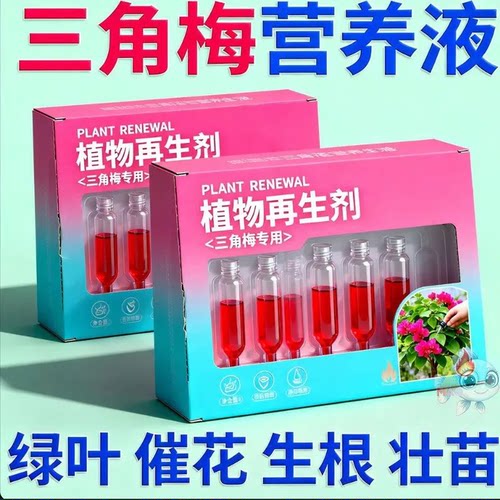 三角梅营养液植物再生剂绿叶花生根壮苗通用型液体肥料新款爆款