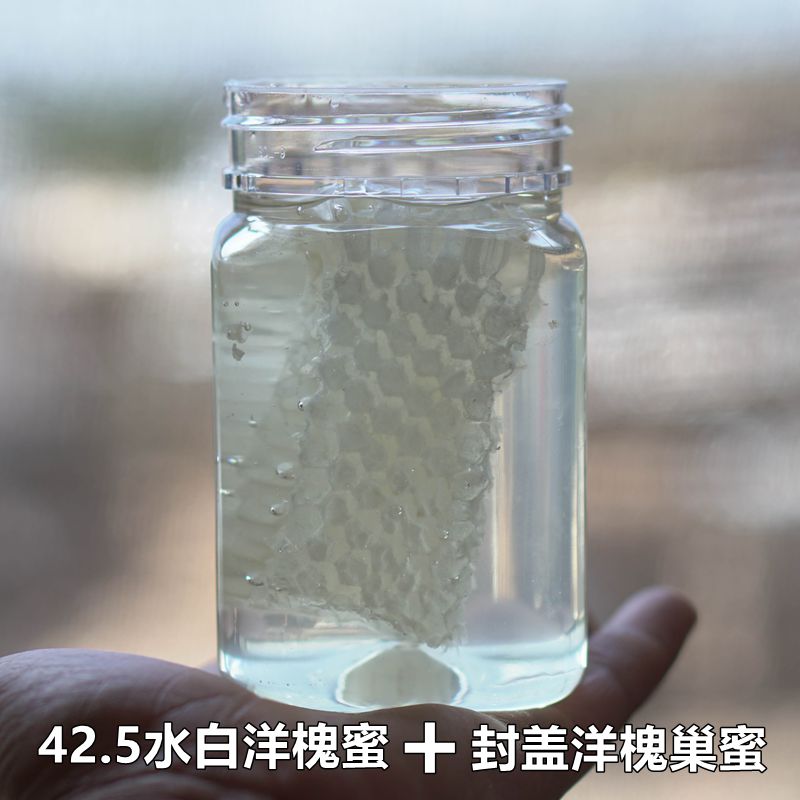 2025【少量】带巢新蜜洋槐蜜槐花蜜野生刺槐蜜洋槐巢蜜老付蜂蜜