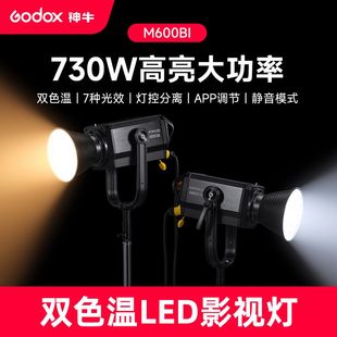 LED摄影灯大功率摄影棚专业补光灯分体控制聚光灯 厂家神牛M600BI