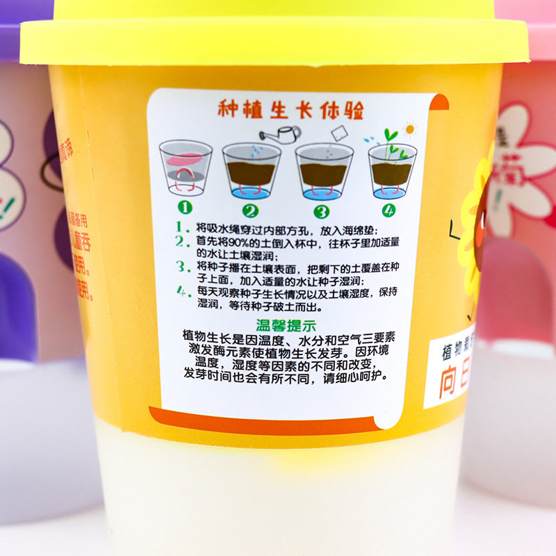 DIY创意种植 童植物栽培套装凤仙花小黄瓜牵牛花番茄波斯菊向日葵
