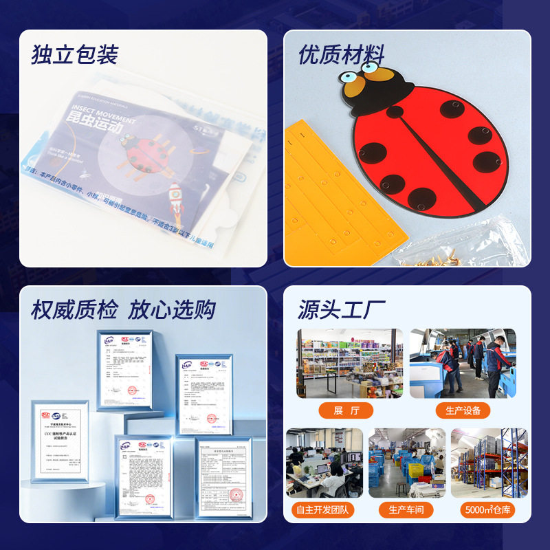 昆虫运动儿童科学实验玩教具自制七星瓢虫学生科技小制作发明手工