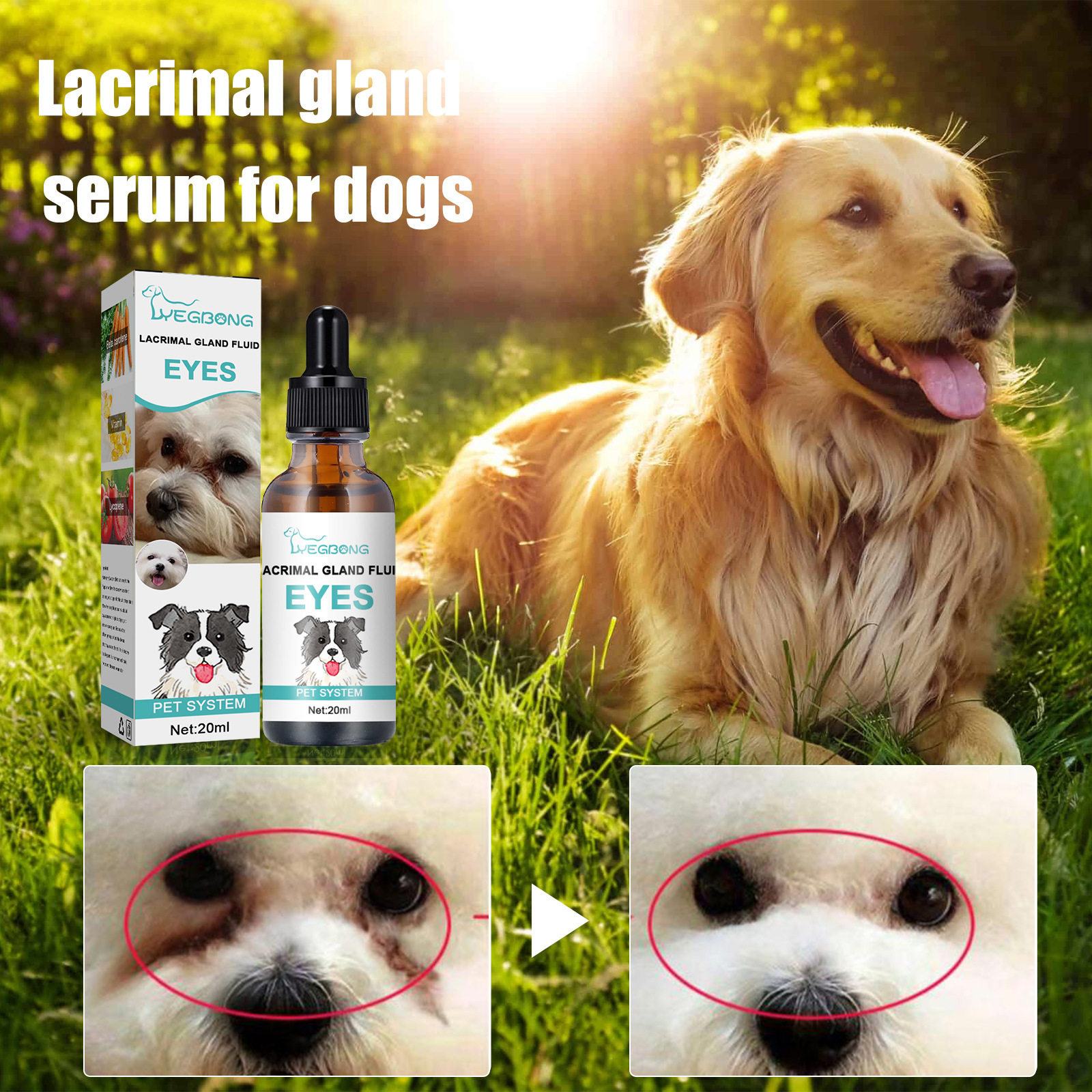 Yegbong 犬用泪腺精华液 宠物外用眼睛泪痕液精华猫咪狗狗除眼屎