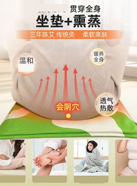电加热艾绒坐垫办公室发热暖腰臀