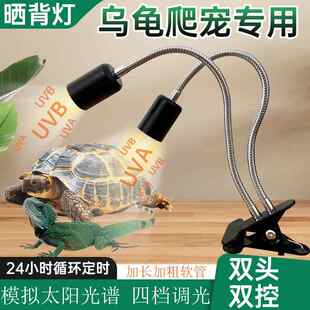 乌龟晒背灯全光谱uvb+uva灯补钙保温太阳灯定时可调养龟灯爬宠灯
