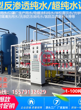 大型RO单双级反渗透水处理设备工业去离子EDI超纯水机净水过滤器