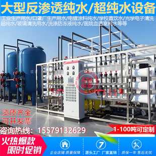 大型RO单双级反渗透水处理设备工业去离子EDI超纯水机净水过滤器