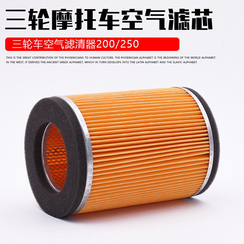 三轮摩托车申龙J1J6富路老年200 250封闭车骏马09 A1 A7滤芯空气