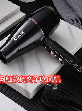 专业吹风机家用大功率冷热风静音网红款负离子护发不伤发电吹风筒