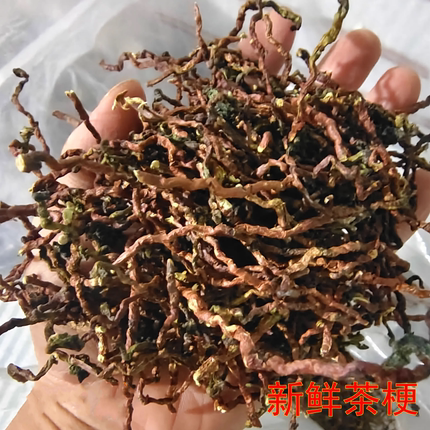 茶枝去味新茶梗除甲醛茶梗装修新车吸味可泡水大排档饭店茶做枕头