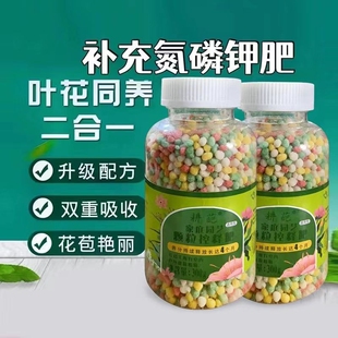 花卉绿植通用控释肥花肥料多肉颗粒缓释肥发财树绿萝氮磷钾复合肥