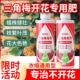 三角梅开花专用营养液肥促花爆花骨粉复合肥料养花枝繁叶茂促开花