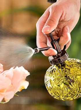 ins风原创气压式玻璃瓶喷壶烟灰色小型多肉浇花种花洒水家用神器