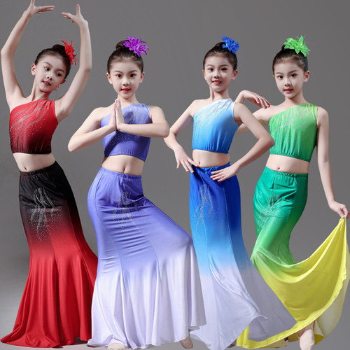 六一儿童傣族舞蹈服成人舞蹈演出服艺考孔雀舞表演服鱼尾裙练功服